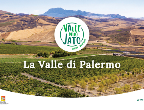 Viaggio nella Valle dello Jato